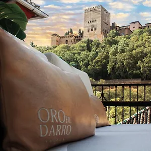 Bibo Oro Del Darro غرناطة